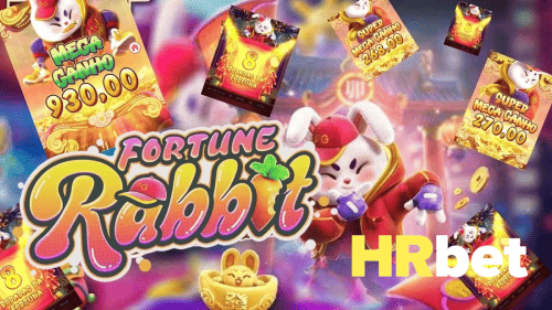 Cashback Program